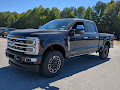 2024 Ford F-250SD Platinum