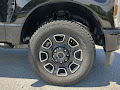 2025 Ford F-250SD Platinum