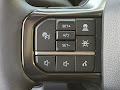 2025 Ford F-250SD Platinum
