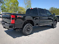 2025 Ford F-250SD Platinum