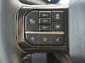 2025 Ford F-250SD Platinum