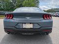 2025 Ford Mustang EcoBoost CC