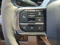 2025 Ford F-450SD Platinum