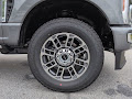 2025 Ford F-350SD Platinum