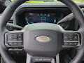 2025 Ford F-250SD Platinum