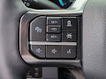 2025 Ford F-250SD Platinum