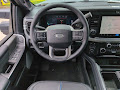 2025 Ford F-250SD Platinum