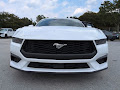 2025 Ford Mustang EcoBoost CC