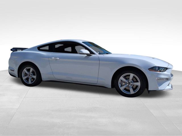 2023 Ford Mustang EcoBoost