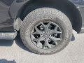 2024 Ford Expedition Timberline