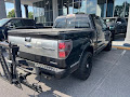 2013 Ford F-150 Platinum