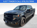 2013 Ford F-150 Platinum