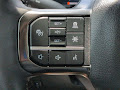 2024 Ford F-250SD Platinum