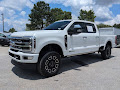 2024 Ford F-250SD Platinum